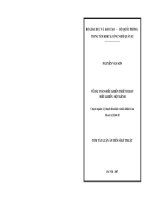 Về bài toán điều khiển thiết bị bay điều khiển một kênh