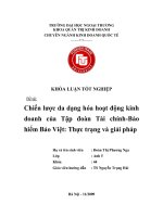 Chiến lược đa dạng hoá hoạt động kinh doanh của tập đoàn tài chính - bảo hiểm Bảo Việt Thực trạng và giải pháp