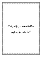 Thủy đậu, vì sao đã tiêm ngừa vẫn mắc lại? potx