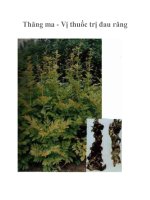 Thăng ma - Vị thuốc trị đau răng pdf