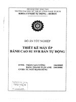 Thiết kế máy ép bánh cao su SVR bán tự động