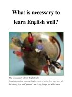 What is necessary to learn English well? pot