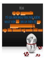 Thuyết trình Tỷ giá hối đoái thả nổi kiểm soát vốn chuẩn tiền tệ