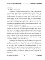 một số giải pháp nhằm nâng cao hiệu quả hoạt động sản xuất kinh doanh của công ty cổ phần mai thành