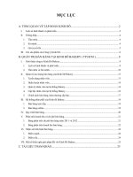 đề tài tổng quan về tập đoàn kinh đô