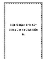 Một Số Bệnh Trên Cây Măng Cụt Và Cách Điều Trị ppt