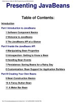 presenting java beans 2000