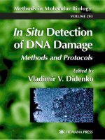 in situ detection of dna damage, methods and protocols