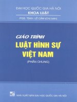 giáo trình luật hình sự việt nam part1
