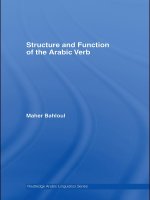  structure and function of the arabic verb