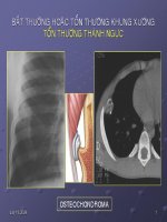 Tổn thương thành ngực pptx