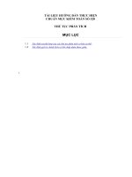 tài liệu hướng dẫn thực hiện chuẩn mực kiểm toán số 520