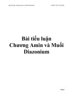 Bài tiểu luận Chương Amin và Muối Diazonium pdf