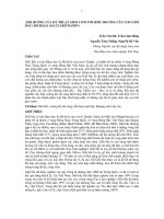 ẢNH HƯỞNG CỦA KỸ THUẬT GIEO ƯƠM TỚI SINH TRƯỞNG CÂY CON GIỔI BẮC (MICHELIA MACCLUREI DANDY) pdf