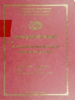Phát triển công nghiệp phụ trợ trong tiến trình hội nhập kinh tế quốc tế ở Việt Nam