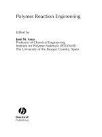 polymer reaction engineering