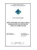 phân tích hiệu quả hoạt động kinh doanh tại chi nhánh công ty tnhh tài lợi