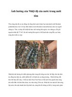 Ảnh hưởng của Nhiệt độ của nước trong nuôi tôm pot