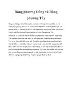 Rồng phương Đông và Rồng phương Tây ppt