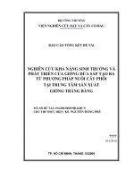 nghiên cứu khả năng sinh trưởng và phát triển của giống dừa sáp tạo ra từ phương pháp nuôi cấy phôi tại trung tâm sản xuất giống trảng bàng