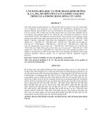 CÂN BẰNG HÓA HỌC VÀ TÌNH TRẠNG DINH DƯỠNG K, CA, MG, MN ĐỐI VỚI LÚA CỦA 6 BIỂU LOẠI ĐẤT TRỒNG LÚA Ở ĐỒNG BẰNG SÔNG CỬU LONG docx