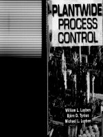plantwide process control