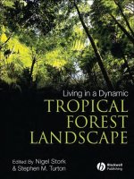 stork - living in a dynamic tropical forest landscape (blackwell, 2008)