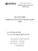 nghiên cứu sản xuất bia từ thế liệu gạo nếp than