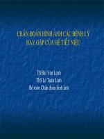 Bất thường hệ tiết niệu pptx