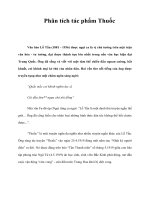 Phân tích tác phẩm Thuốc pot