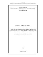 Nghiên cứu đúc sản phẩm có khối lượng 50kg bằng công nghệ mẫu tự thiêu trên hệ thống thiết bị của viện công nghệ