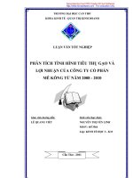 phân tích tình hình tiêu thụ gạo và lợi nhuận của công ty cổ phần mê kông