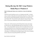 Hướng dẫn chạy file MKV trong Windows Media Player ở Windows 8 pptx