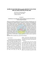 Nghiên cứu xác định nấm Aspergillus sinh độc tố aflatoxin trên lạc bằng phản ứng pcr đặc hiệu pot