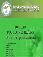BÁO CÁO ĐỘC HỌC MÔI TRƯỜNG ĐỀ TÀI TÀI NGUYÊN KHOÁNG SẢN