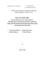 Hoàn thiện hệ đo và quy trình tính tuổi khảo cổ nhiệt huỳnh quang, bước đầu xây dựng phương pháp huỳnh quang cưỡng bức quang