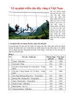 Sự phát triển cầu dây văng ở Việt Nam