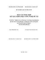 Đề Tài : Nghiên cứu cơ sở khoa học và xây dựng các giải pháp lưu trữ nước mưa vào lòng đất phục vụ chống hạn và bảo vệ tài nguyên nước dưới vùng đất tây nguyên