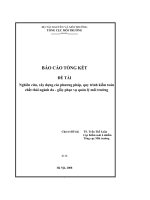 Nghiên cứu, xây dựng các phương pháp, quy định kiểm toán chất thải ngành da giầy phục vụ quản lý môi trường