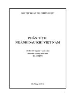 PHÂN TÍCH  NGÀNH DẦU KHÍ VIỆT NAM