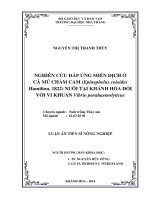 Nghiên cứu đáp ứng miễn dịch của cá mú chấm cam Epinephelus coioides (Hamilton, 1822) nuôi tại Khánh Hòa đối với vi khuẩn Vibrio parahaemolyticus
