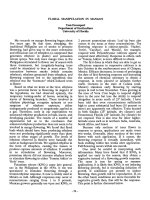 Floral manipulation in mangos by tomdavenport in department of horticulture, university of florida