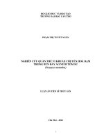 Nghiên cứu quần thể vi khuẩn chuyển hoá đạm trong bùn đáy ao nuôi tôm sú (penaeus monodon)'