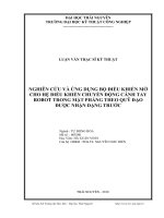 Nghiên cứu và ứng dụng bộ điều khiển mờ cho hệ thống điều khiển chuyển động cánh tay ROBOT trong mặt phẳng theo quỹ đạo được nhận dạng trước