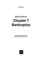 how to file for chapter 7 bankruptcy 14th (2007)