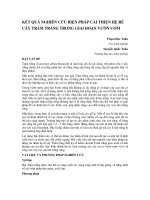 KẾT QUẢ NGHIÊN CỨU BIỆN PHÁP CẢI THIỆN HỆ RỄ CÂY TRÁM TRẮNG TRONG GIAI ĐOẠN VƯỜN ƯƠM doc
