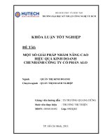 một số giải pháp nhằm nâng cao hiệu quả kinh doanh nhập khẩu của chi nhánh công ty cổ phần alo