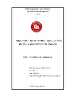 Tiểu luận: Thực trạng rủi ro tín dụng tại ngân hàng thương mại cổ phần Techcombank