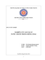 nghiên cứu sản xuất nước chuối trong đóng chai