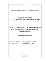Nghiên cứu công nghệ và hệ thống thiết bị sản xuất cồn nhiên liệu từ phế phụ phẩm nông nghiệp